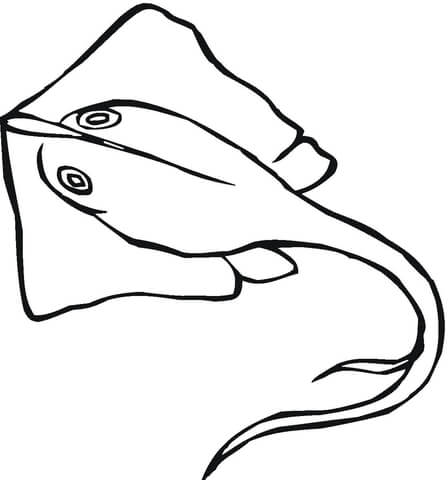 Stingray  Coloring Page